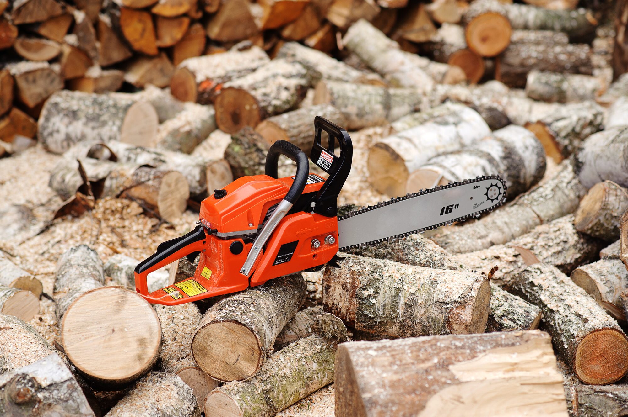 Tree Removal Phoenix AZ