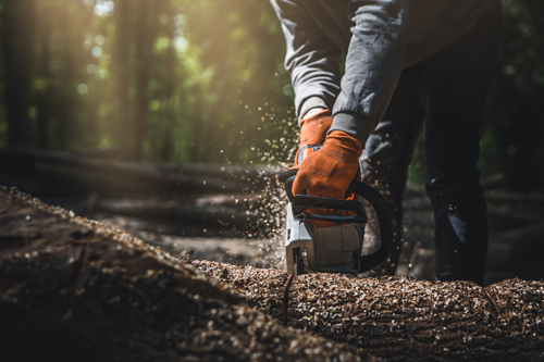 Expertise Commercial Tree Contractor Az