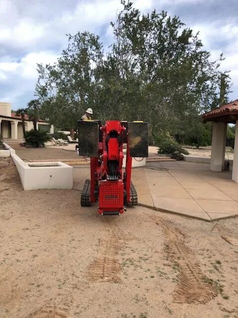 commercial tree services near me phoenix az