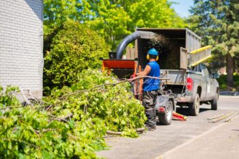 Commercial Tree Services