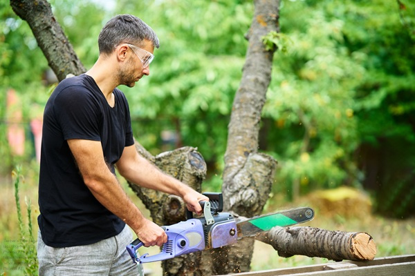 Handsome Man Using Chainsaw For Cutting Tree Branches At His Bac