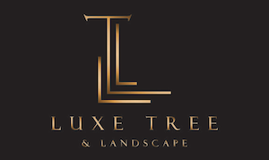 Tree Service in Glendale AZ from Luxe Tree and Landscape