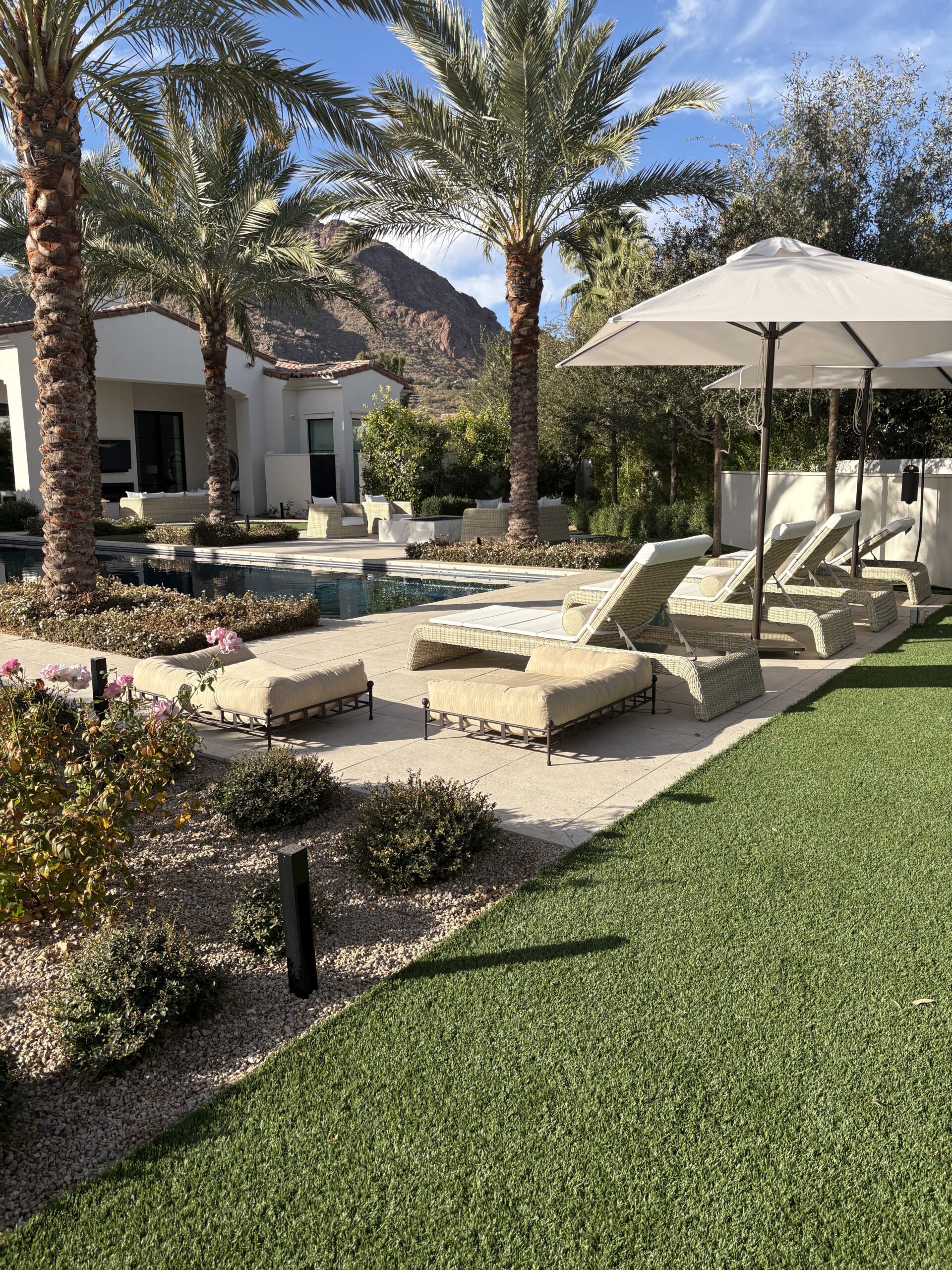 Commercial Tree Service Tempe Az