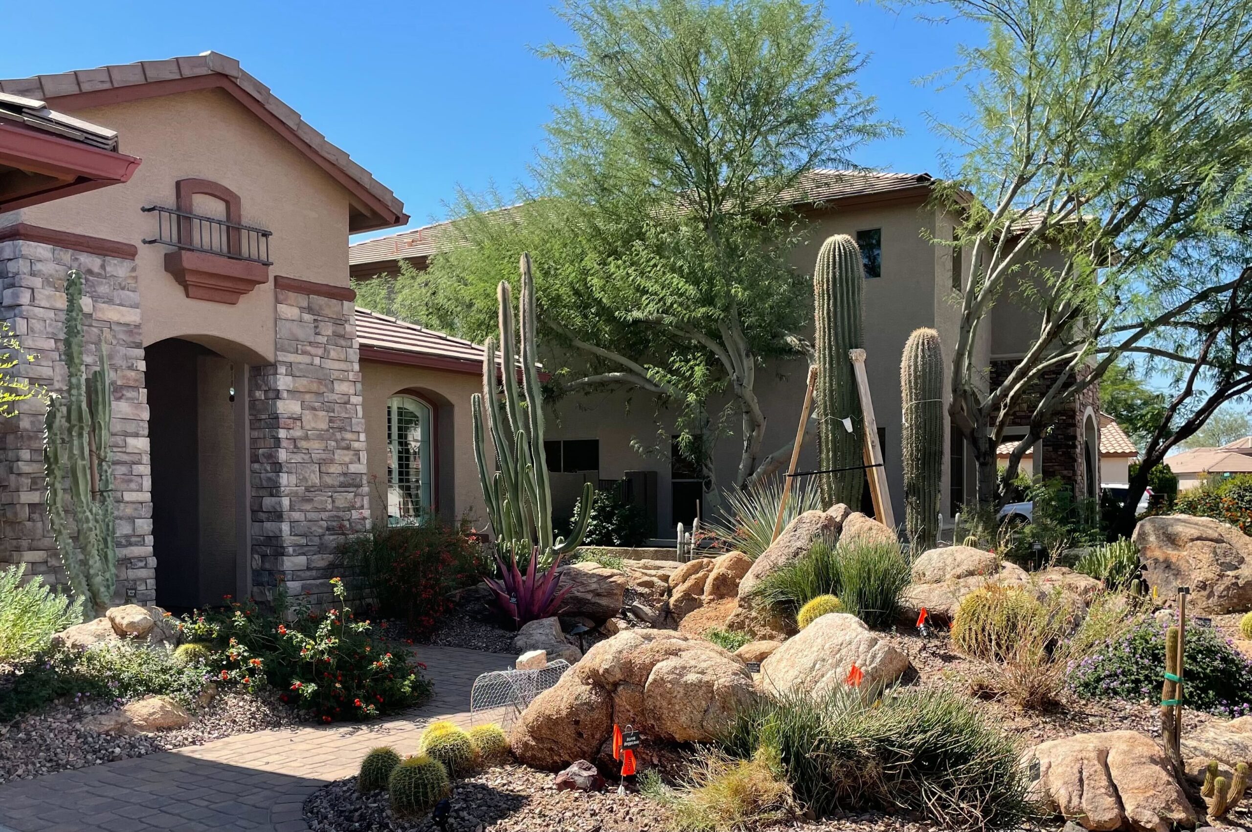 Tree Service Phoenix Az